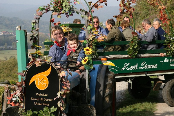 Bildergalerie - Churfranken ist bekannt für seinen Weinbau, hier einige Bildimpressionen davon