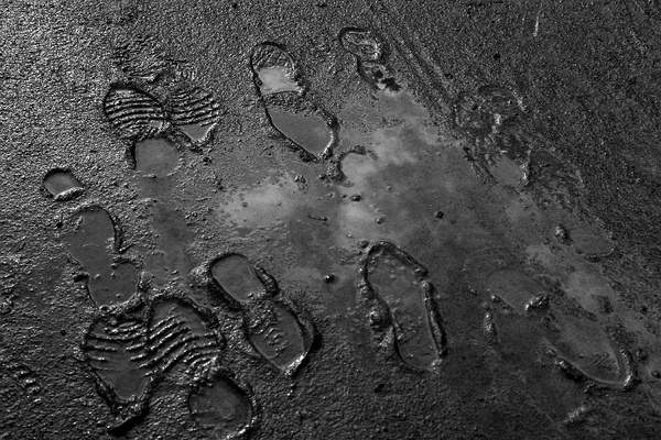 Bildergalerie - Unterwegs im Mainland Miltenberg