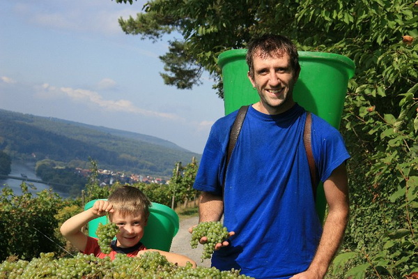 Bildergalerie - Churfranken ist bekannt für seinen Weinbau, hier einige Bildimpressionen davon