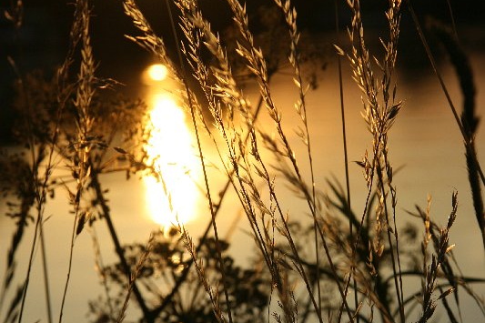 Bildergalerie - Unterwegs im Mainland Miltenberg