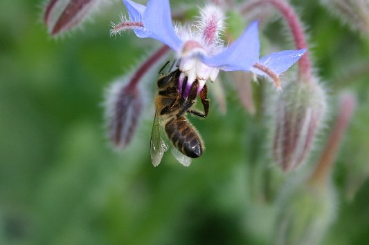 Bildergalerie - Bildimpressionen des Naturpark Spessarts