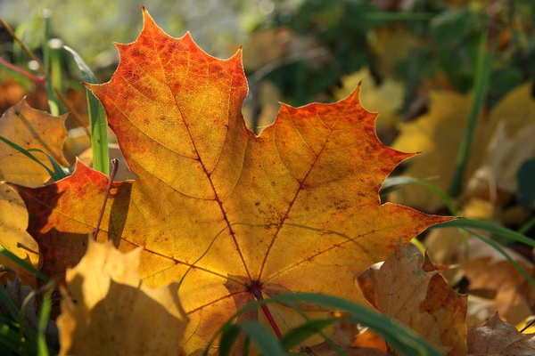 Bildergalerie - Bildimpressionen des Naturpark Spessarts