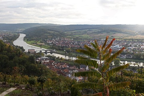 Bildergalerie - Unser Nordlandkreis in Bildern - hier zu Gast in Klingenberg