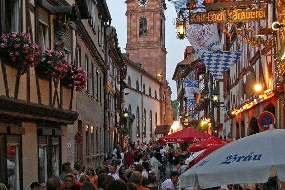 Bildergalerie - Unsere Kreisstadt Miltenberg in Bildern