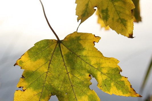 Bildergalerie - Bildimpressionen des Naturpark Spessarts