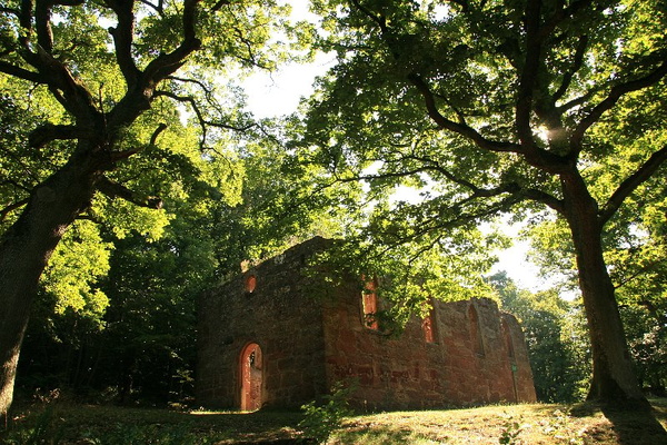 Bildergalerie - Bildimpressionen des Naturpark Spessarts