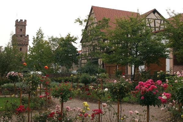 Bildergalerie - Unser Nordlandkreis in Bildern - hier zu Gast in Obernburg