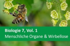 Biologie 7, Vol. 1 Menschliche Organe & Wirbellose