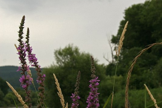 Bildergalerie - Unterwegs im Mainland Miltenberg