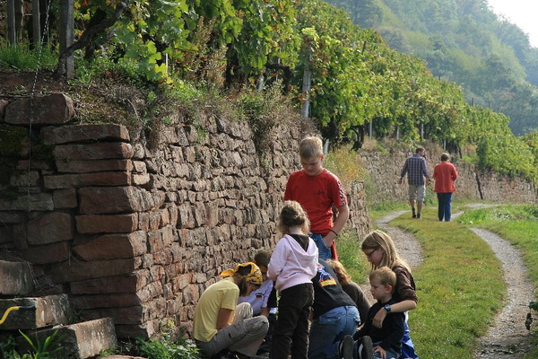 Bildergalerie - Freizeitaktivitäten im Landkreis Miltenberg