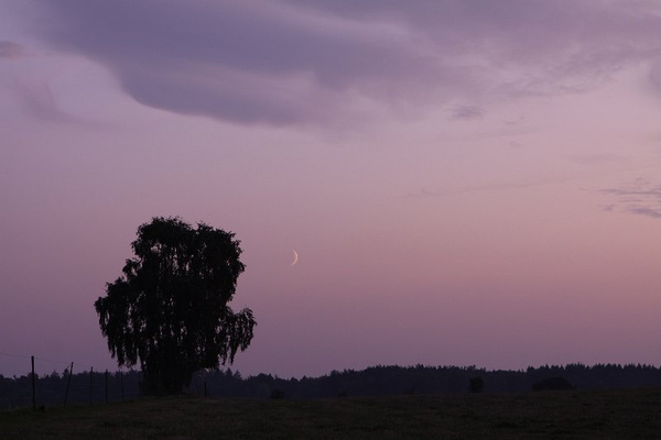Bildergalerie - Vorstellung der Sehenswürdigkeiten und Besonderheiten der Marktgemeinde Großheubach