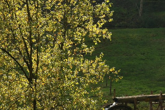 Bildergalerie - Vorstellung der Sehenswürdigkeiten und Besonderheiten der Marktgemeinde Kleinheubach
