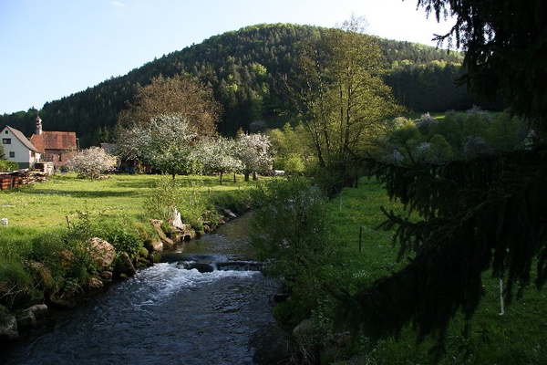 Bildergalerie - Die Orte & Städte des Odenwaldes in Bildern - hier zu Gast in Schneeberg
