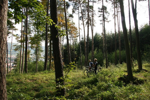 Bildergalerie - Freizeitaktivitäten im Landkreis Miltenberg