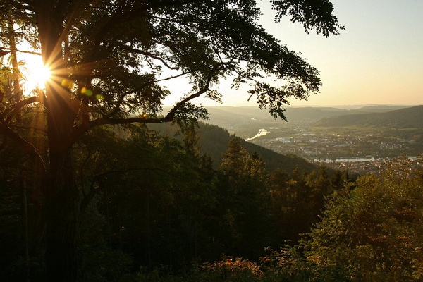 Bildergalerie - Unsere Kreisstadt Miltenberg in Bildern