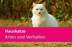 Hauskatze - Arten und Verhalten