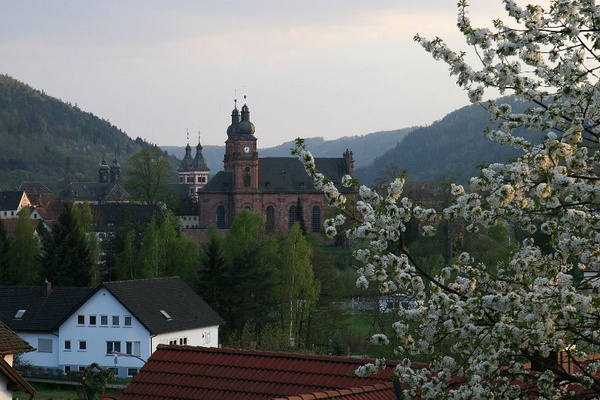 Bildergalerie - Die Orte & Städte des Odenwaldes in Bildern - hier zu Gast in Amorbach