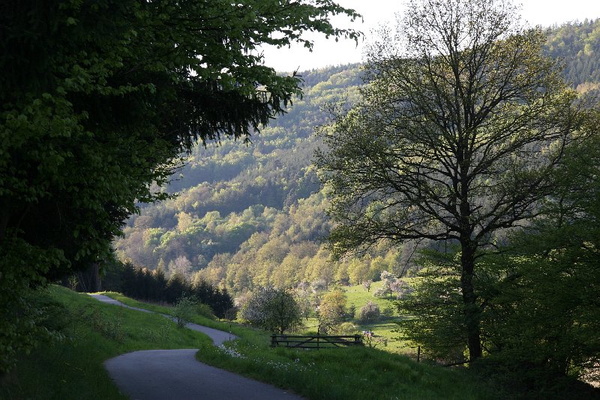 Bildergalerie - Bildimpressionen des Naturpark Spessarts