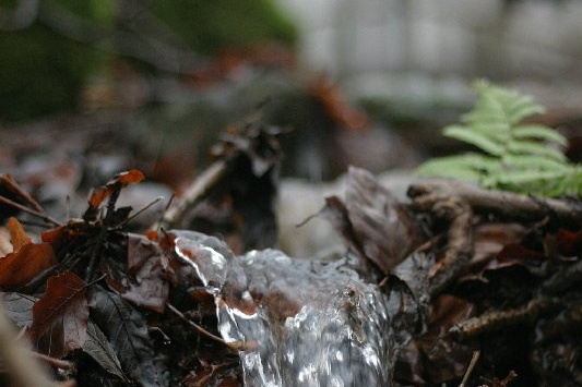 Bildergalerie - Bildimpressionen des Naturpark Spessarts