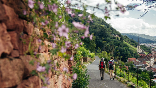 Wandern auf den Spuren des Weines