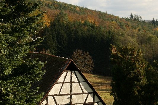 Bildergalerie - Vorstellung der Sehenswürdigkeiten und Besonderheiten der Marktgemeinde Kleinheubach