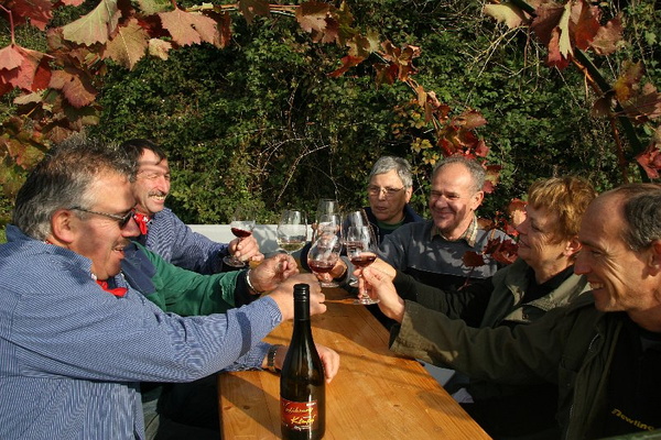 Bildergalerie - Churfranken ist bekannt für seinen Weinbau, hier einige Bildimpressionen davon