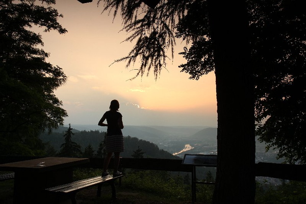 Bildergalerie - Unsere Kreisstadt Miltenberg in Bildern