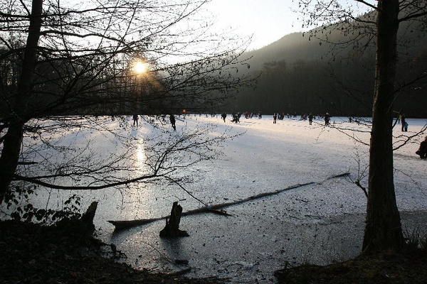 Bildergalerie - Die Orte & Städte des Odenwaldes in Bildern - hier zu Gast in Amorbach