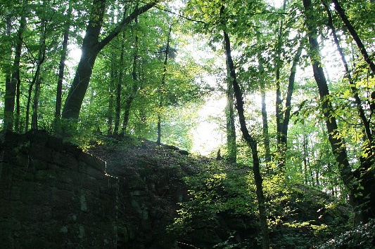 Bildergalerie - Die Orte & Städte des Odenwaldes in Bildern - hier zu Gast in Kirchzell