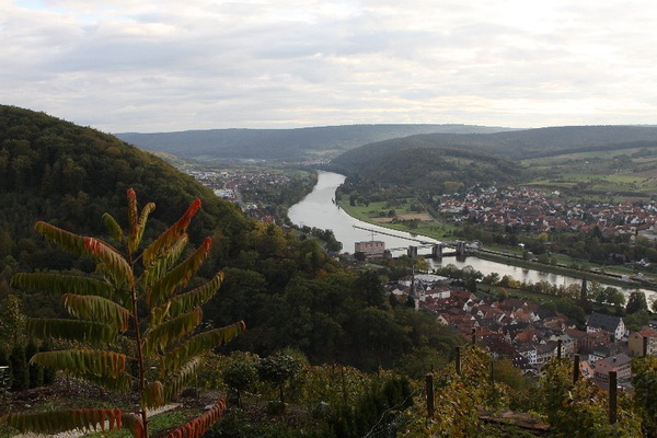 Bildergalerie - Unser Nordlandkreis in Bildern - hier zu Gast in Klingenberg