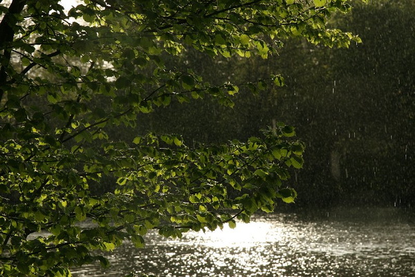 Impressionen vom Bahnhof Aschaffenburg