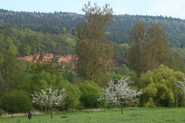 Bildergalerie - Bilder rund um Bürgstadt