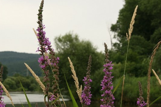 Bildergalerie - Unterwegs im Mainland Miltenberg