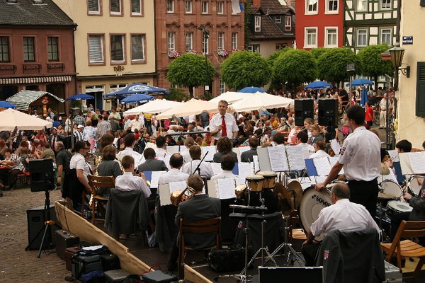 Bildergalerie - Unsere Kreisstadt Miltenberg in Bildern