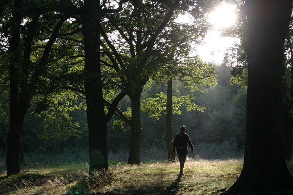 Bildergalerie - Bildimpressionen des Naturpark Spessarts