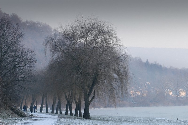Bildergalerie - Bildimpressionen des Naturpark Spessarts