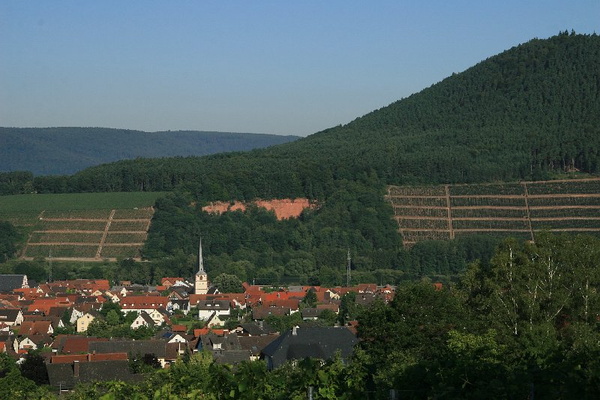 Bildergalerie - Bilder rund um Bürgstadt