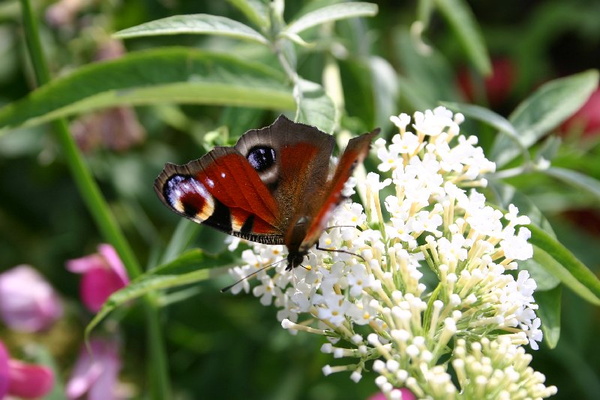 Bildergalerie - Unterwegs im Mainland Miltenberg