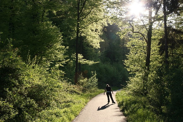 Bildergalerie - Die Orte & Städte des Odenwaldes in Bildern - hier zu Gast in Schneeberg