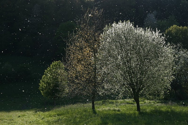 Bildergalerie - Bildimpressionen des Naturpark Spessarts