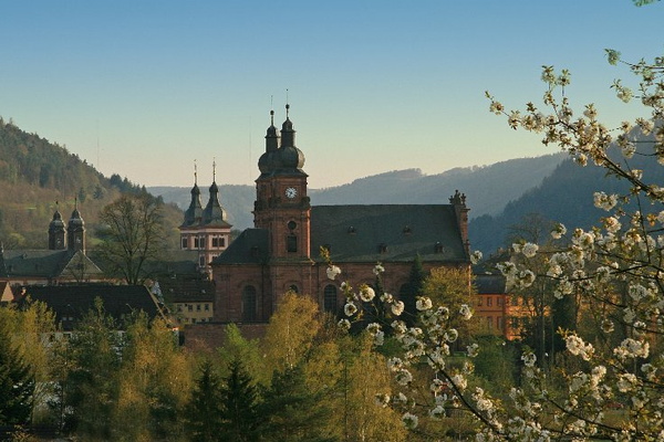 Bildergalerie - Die Orte & Städte des Odenwaldes in Bildern - hier zu Gast in Amorbach