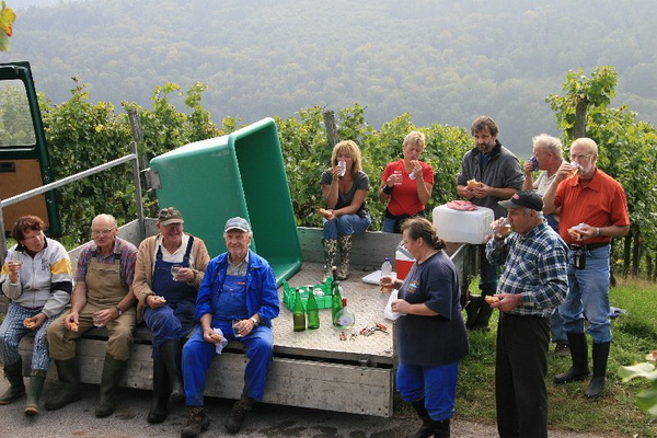Bildergalerie - Churfranken ist bekannt für seinen Weinbau, hier einige Bildimpressionen davon