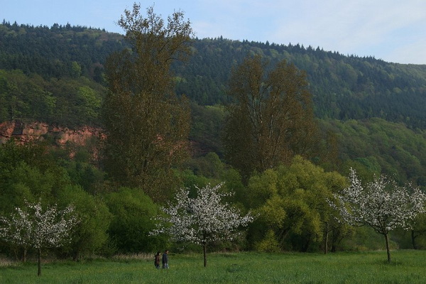 Bildergalerie - Bildimpressionen des Naturpark Spessarts