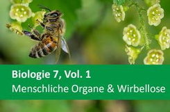 Biologie 7, Vol. 1 Menschliche Organe & Wirbellose
