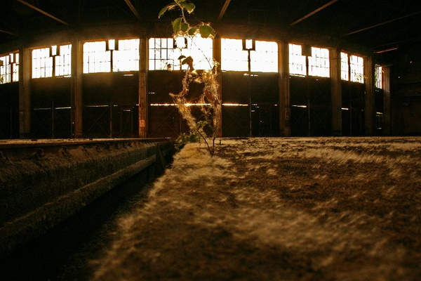 Impressionen vom Bahnhof Aschaffenburg