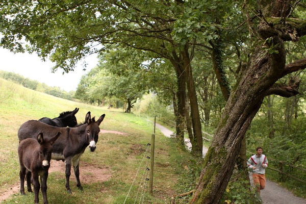 Bildergalerie - Die Orte & Städte des Odenwaldes in Bildern - hier zu Gast in Kirchzell