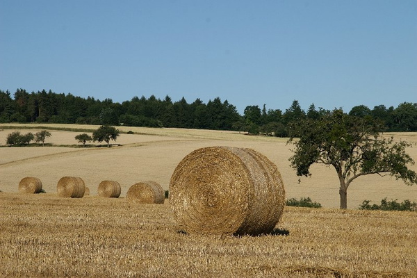 Bildergalerie - Vorstellung der Sehenswürdigkeiten und Besonderheiten der Marktgemeinde Großheubach