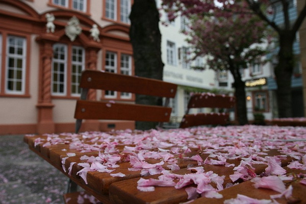 Bildergalerie - Vorstellung der Sehenswürdigkeiten und Besonderheiten der Marktgemeinde Kleinheubach
