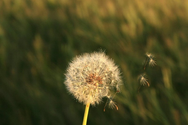 Bildergalerie - Bildimpressionen des Naturpark Spessarts
