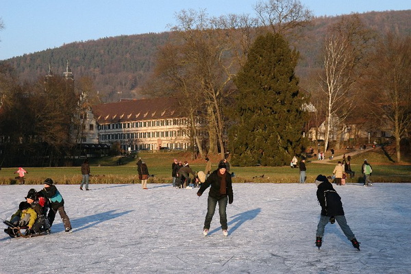 Bildergalerie - Die Orte & Städte des Odenwaldes in Bildern - hier zu Gast in Amorbach